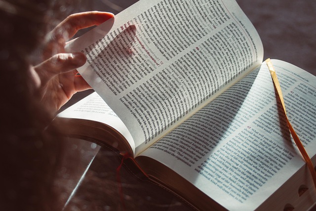 Lesewettbewerb an unserer Schule